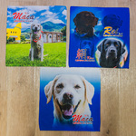 レビュー投稿画像