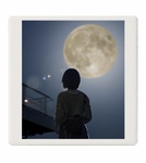 レビュー投稿画像