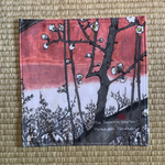 レビュー投稿画像