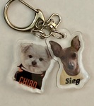 レビュー投稿画像