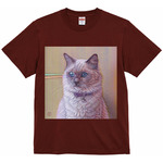 レビュー投稿画像