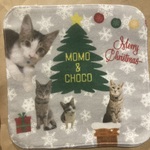 レビュー投稿画像