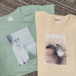 レビュー投稿画像