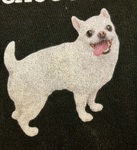 レビュー投稿画像