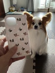 レビュー投稿画像