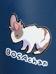 レビュー投稿画像