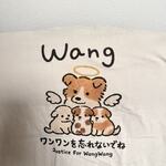 レビュー投稿画像