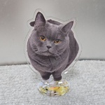 レビュー投稿画像