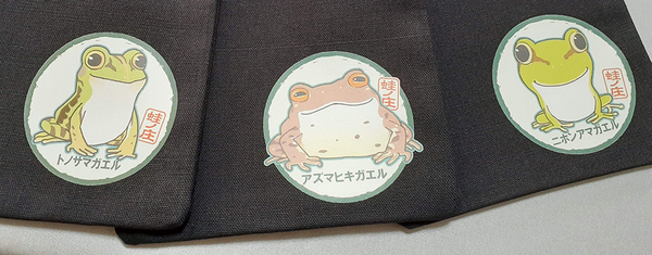 レビュー投稿の拡大画像