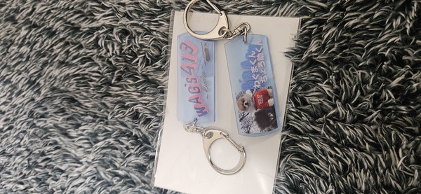 レビュー投稿の拡大画像