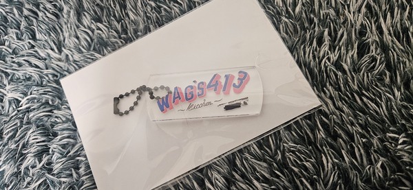 レビュー投稿の拡大画像