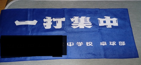 レビュー投稿の拡大画像