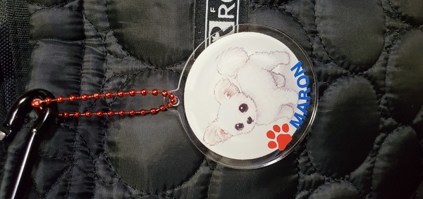 レビュー投稿の拡大画像