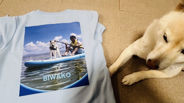 レビュー投稿の拡大画像