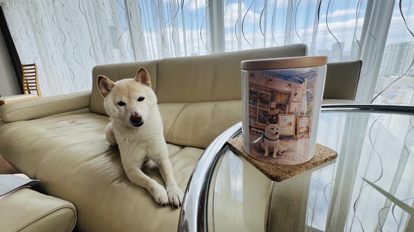 レビュー投稿の拡大画像