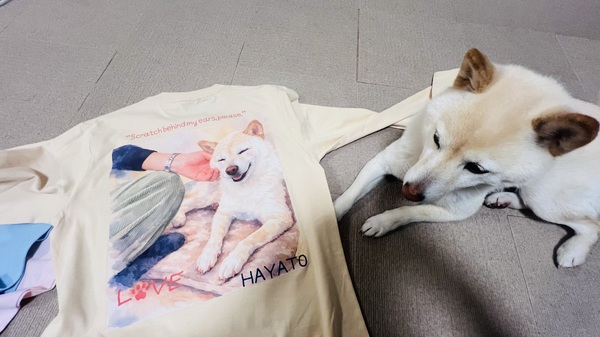 レビュー投稿の拡大画像