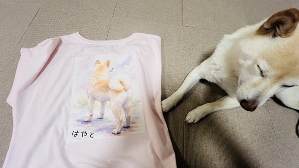 レビュー投稿の拡大画像