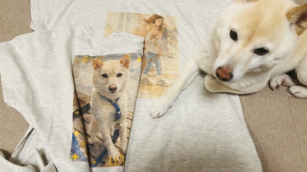 レビュー投稿の拡大画像