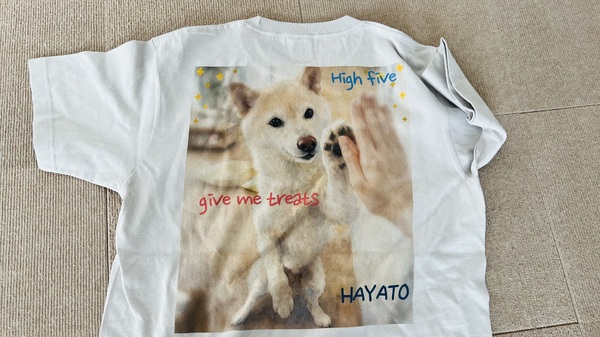 レビュー投稿の拡大画像