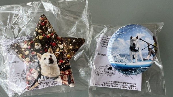 レビュー投稿の拡大画像