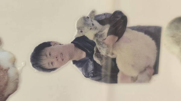 レビュー投稿の拡大画像