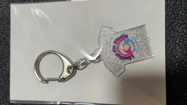 レビュー投稿の拡大画像