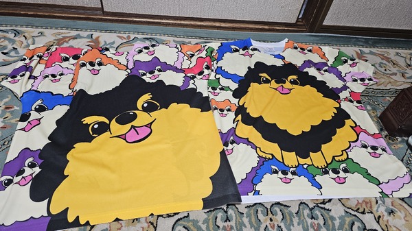 レビュー投稿の拡大画像
