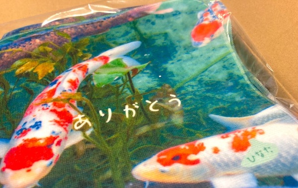 レビュー投稿の拡大画像