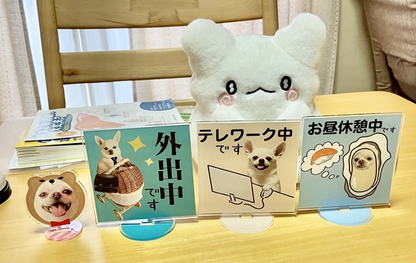 レビュー投稿の拡大画像