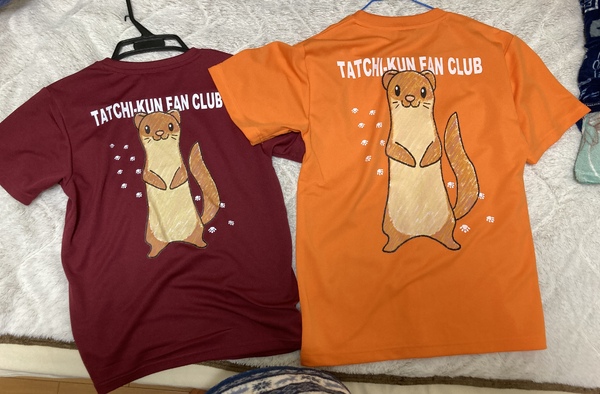 レビュー投稿の拡大画像