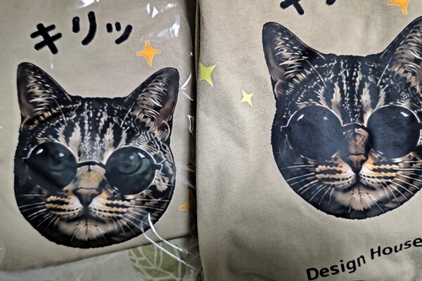 レビュー投稿の拡大画像