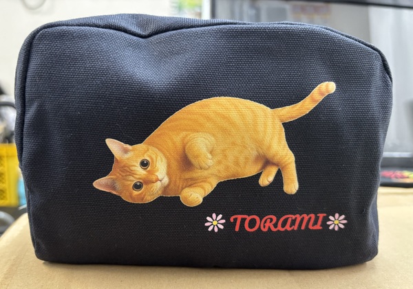 レビュー投稿の拡大画像