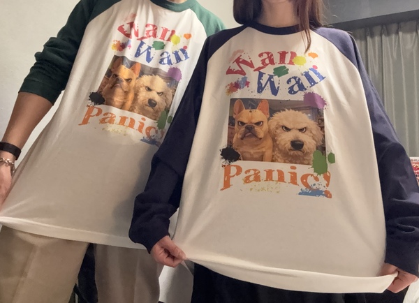 レビュー投稿の拡大画像