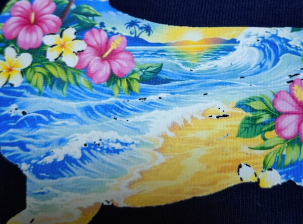 レビュー投稿の拡大画像