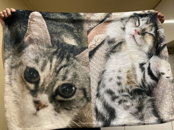 レビュー投稿の拡大画像