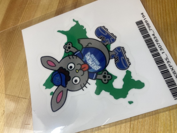 レビュー投稿の拡大画像