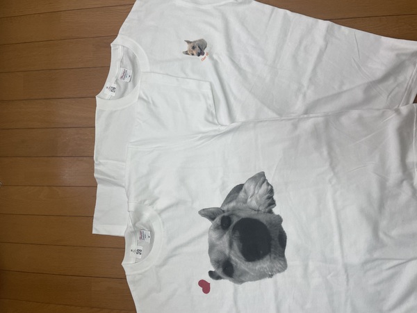 レビュー投稿の拡大画像