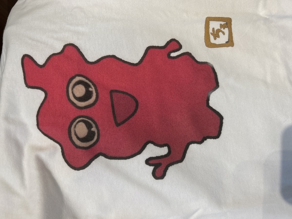 レビュー投稿の拡大画像