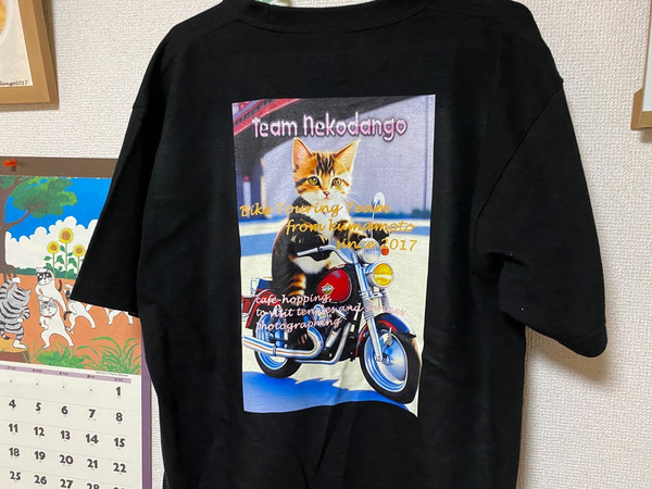 レビュー投稿の拡大画像