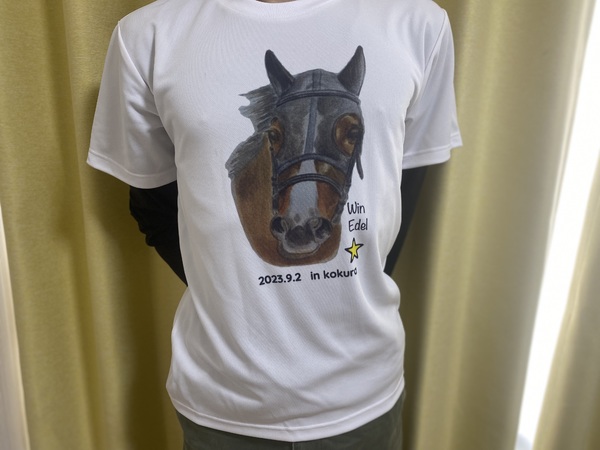 レビュー投稿の拡大画像