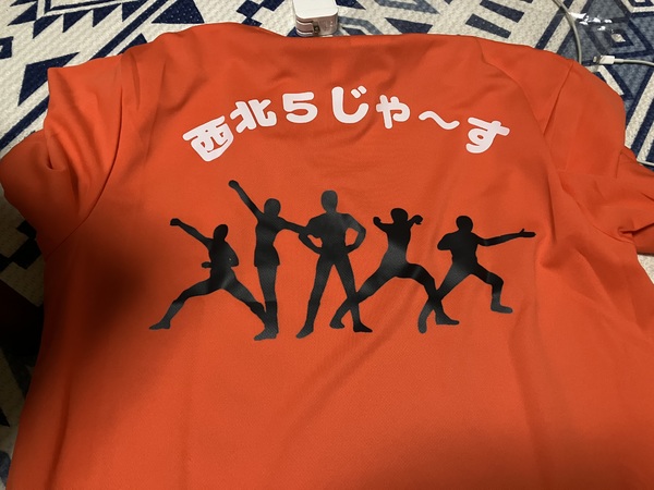 レビュー投稿の拡大画像