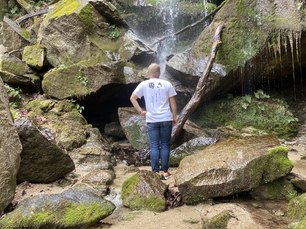 レビュー投稿の拡大画像