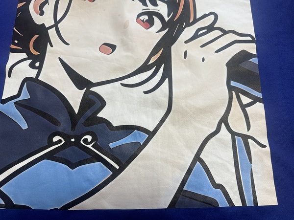 レビュー投稿の拡大画像