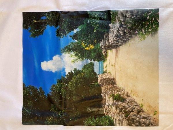 レビュー投稿の拡大画像