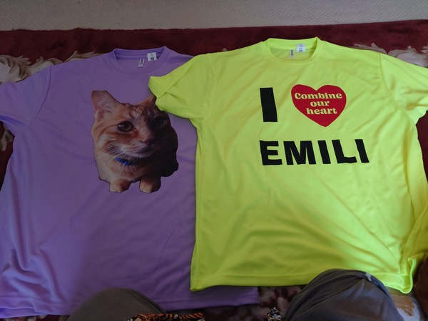 レビュー投稿の拡大画像