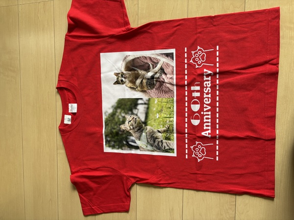 レビュー投稿の拡大画像