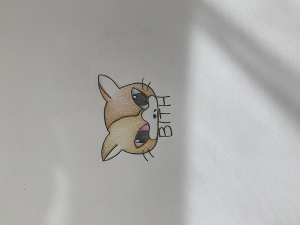レビュー投稿の拡大画像