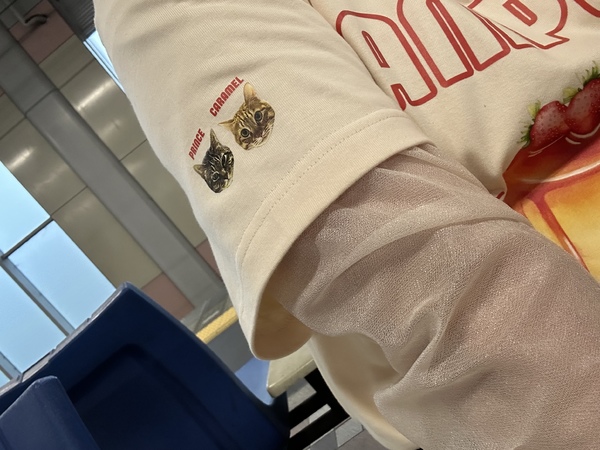 レビュー投稿の拡大画像