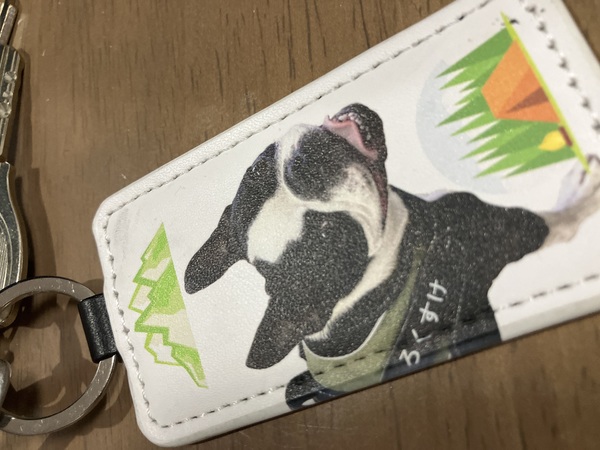 レビュー投稿の拡大画像