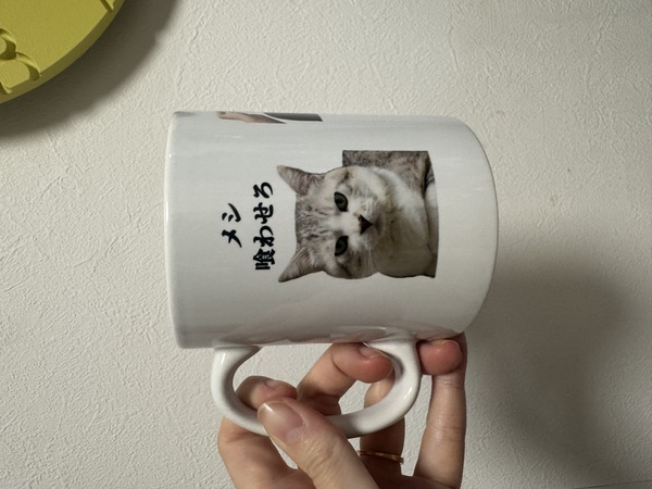 レビュー投稿の拡大画像